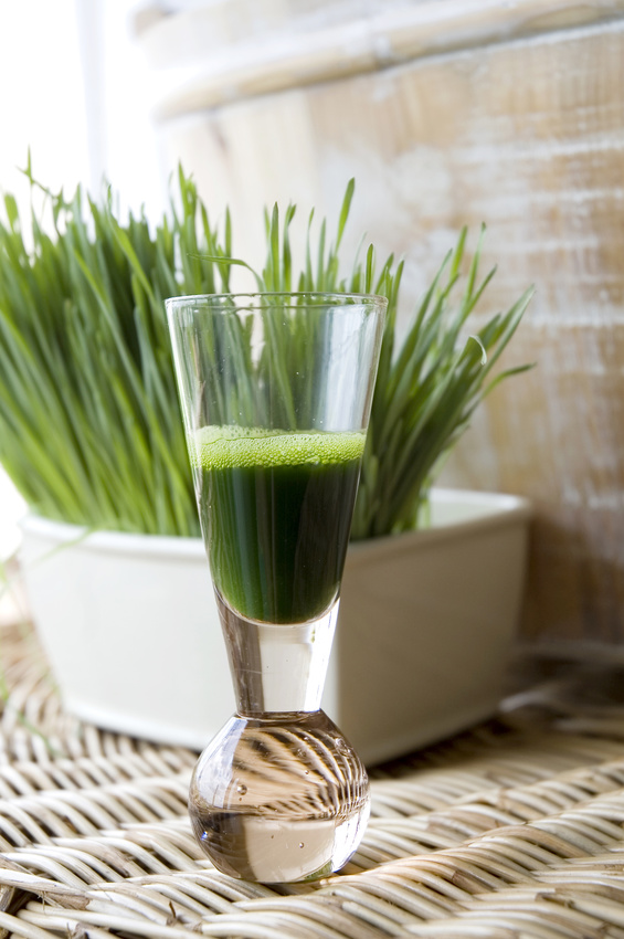 wheatgrass juice in shot glass with wheatgrass background